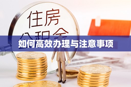 木里如何高效办理与注意事项