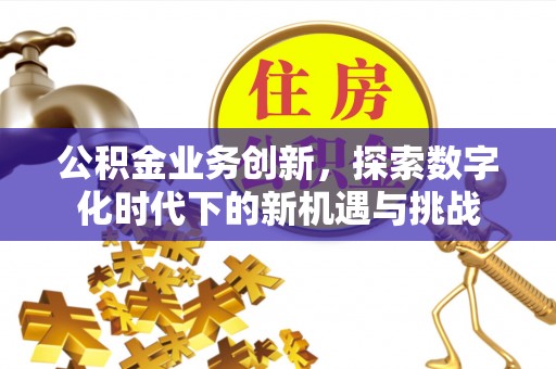 木里公积金业务创新，探索数字化时代下的新机遇与挑战