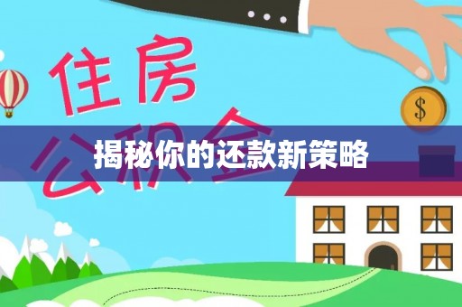 木里揭秘你的还款新策略