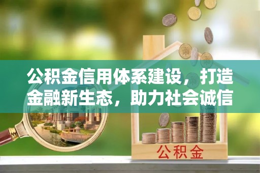 木里公积金信用体系建设，打造金融新生态，助力社会诚信发展