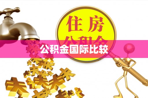 木里公积金国际比较