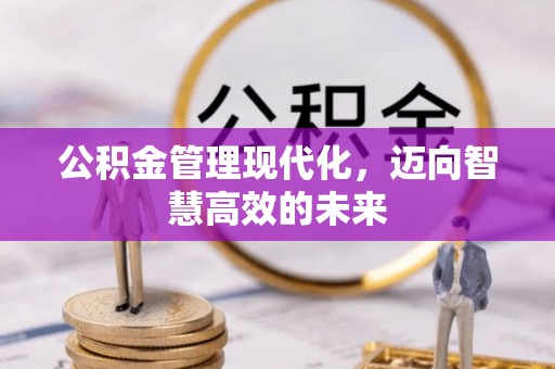 木里公积金管理现代化，迈向智慧高效的未来