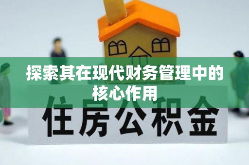 木里探索其在现代财务管理中的核心作用