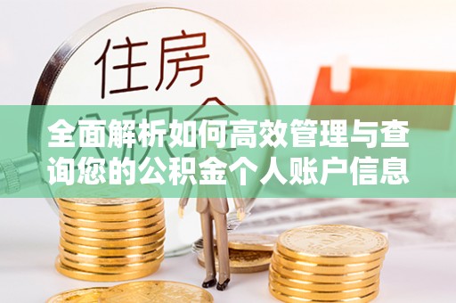 木里全面解析如何高效管理与查询您的公积金个人账户信息
