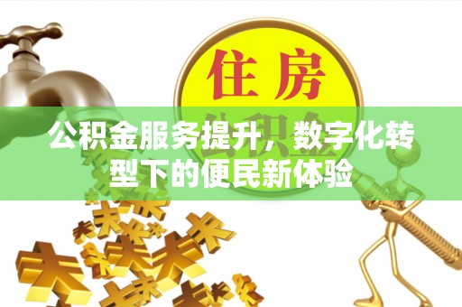 木里公积金服务提升，数字化转型下的便民新体验