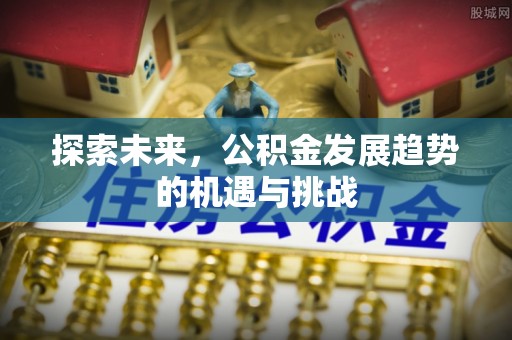木里探索未来，公积金发展趋势的机遇与挑战