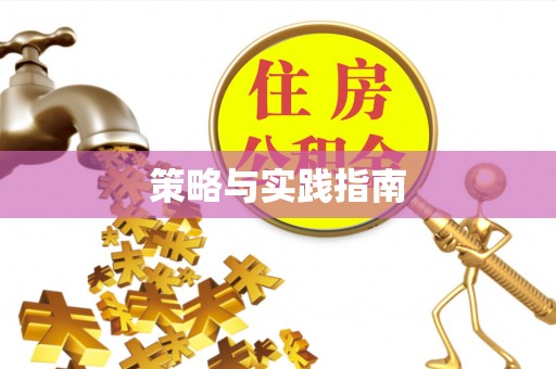 木里策略与实践指南