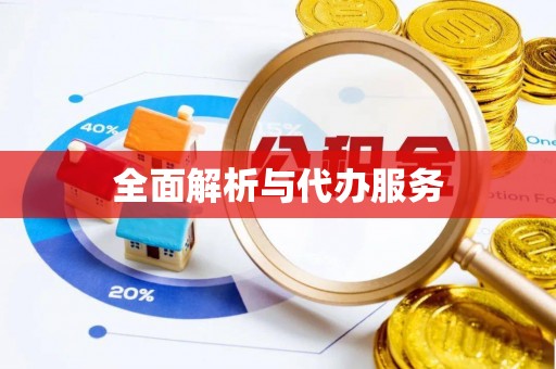 木里全面解析与代办服务
