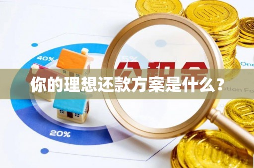 木里你的理想还款方案是什么？
