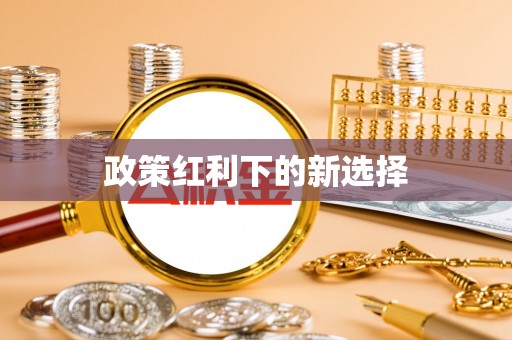 木里政策红利下的新选择