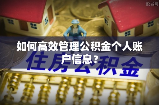 木里如何高效管理公积金个人账户信息？