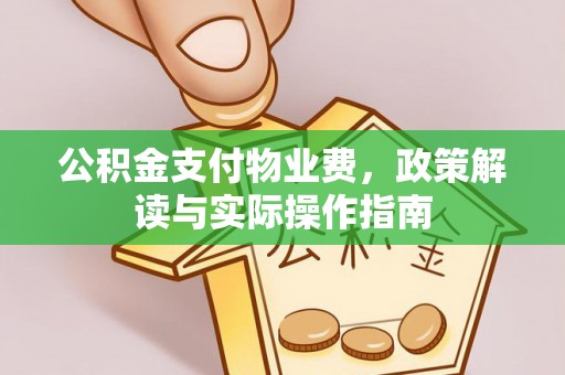 木里公积金支付物业费，政策解读与实际操作指南