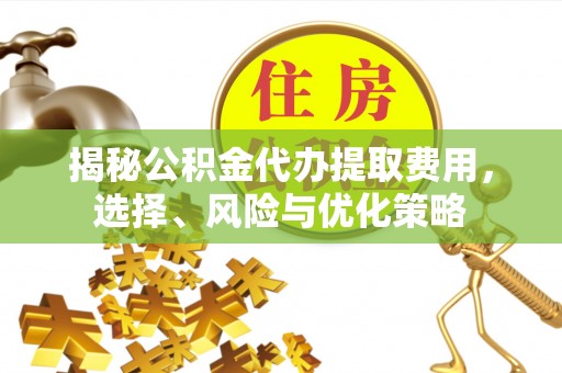 木里揭秘公积金代办提取费用，选择、风险与优化策略