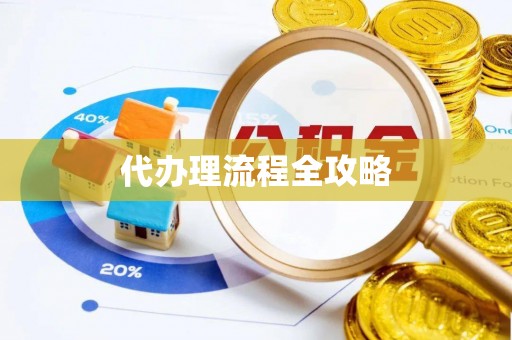 木里代办理流程全攻略