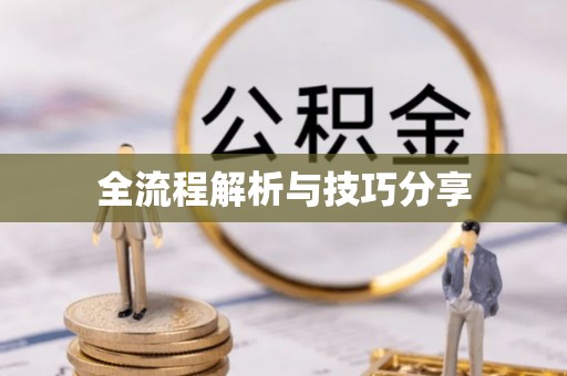 木里全流程解析与技巧分享