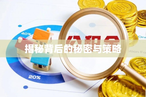 木里揭秘背后的秘密与策略