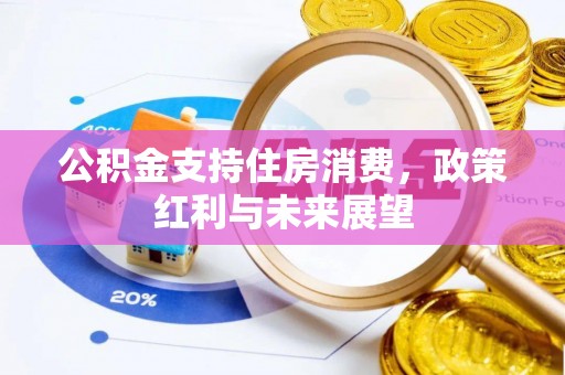 木里公积金支持住房消费，政策红利与未来展望