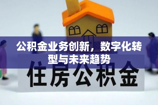 木里公积金业务创新，数字化转型与未来趋势
