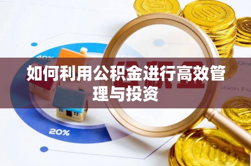 木里如何利用公积金进行高效管理与投资
