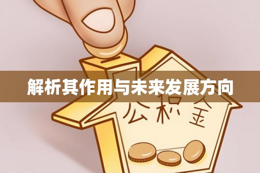 木里解析其作用与未来发展方向