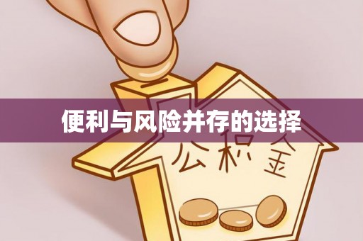 木里便利与风险并存的选择