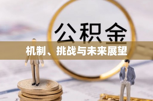 木里机制、挑战与未来展望