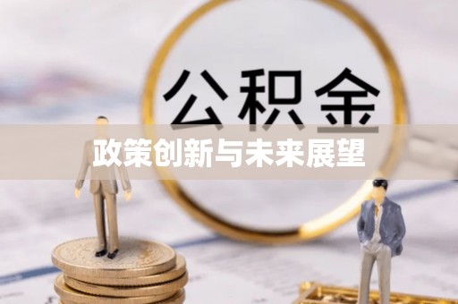 木里政策创新与未来展望
