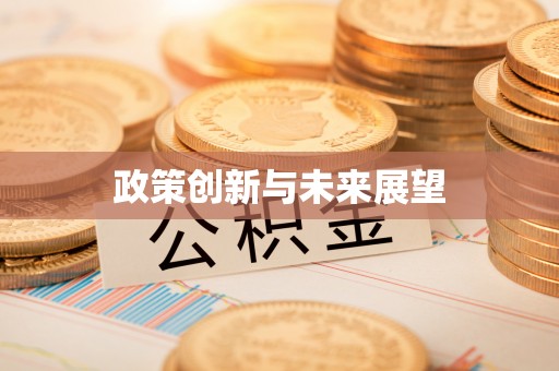 木里政策创新与未来展望